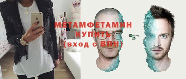 сатива Няндома