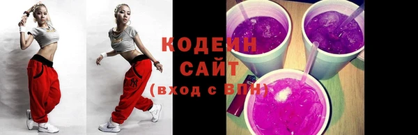 сатива Няндома