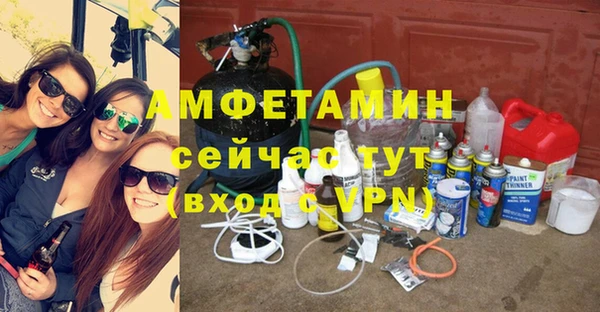 сатива Няндома