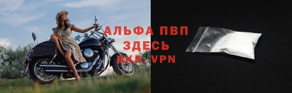 соль ск Новозыбков