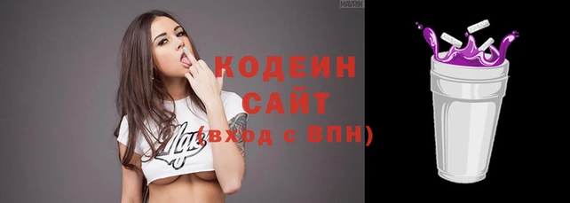 сатива Няндома