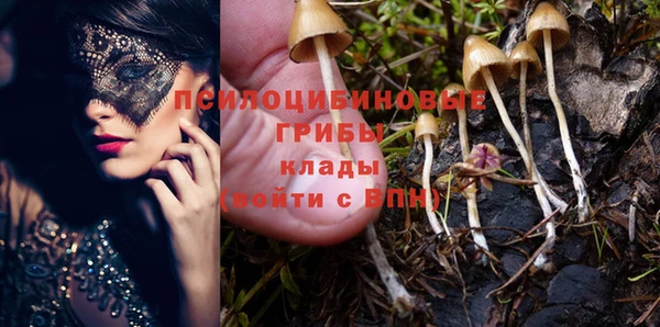первитин Нязепетровск