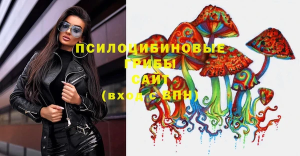 сатива Няндома