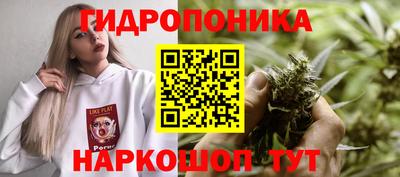 скорость Донской
