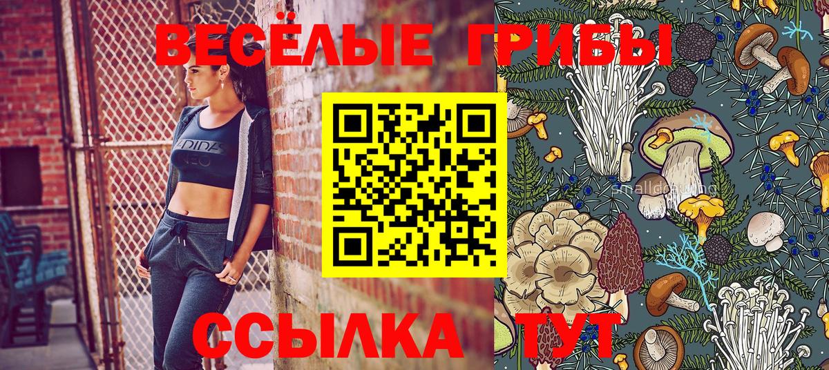 Псилоцибиновые грибы GOLDEN TEACHER Родники