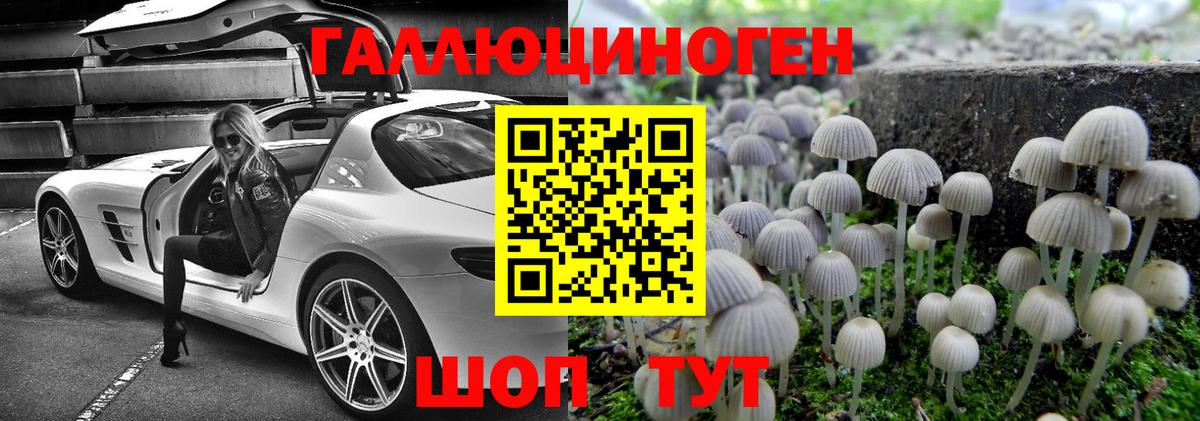 Псилоцибиновые грибы MAGIC MUSHROOMS  Родники 